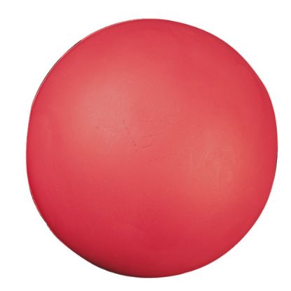 Picture of Champion Sports High Density Coated 8-1/2in Foam Ball