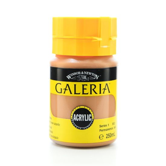 Picture of Winsor & Newton Galeria Flow Formula Acrylic Colors, 250 mL, Raw Sienna, 552, Pack Of 2