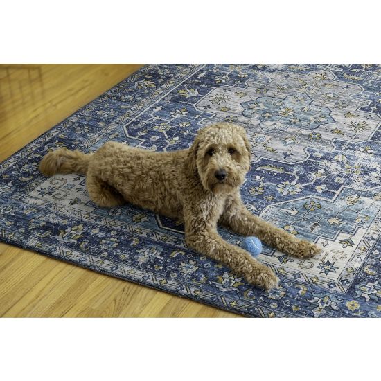 Picture of Linon Washable Area Rug, 5ft x 7ft, Nimue Teal/Ivory