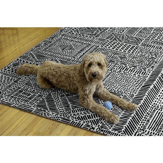 Picture of Linon Washable Indoor Rug, Hecate, 5ft x 7ft, Ivory/Black