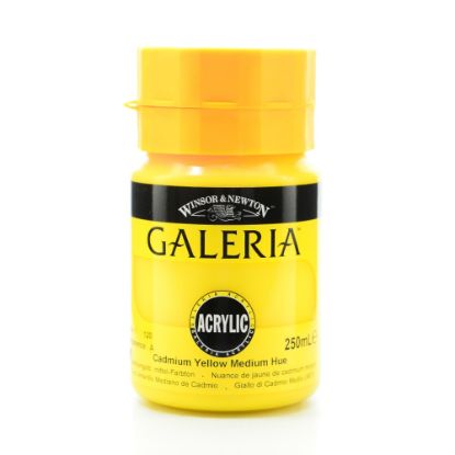 Picture of Winsor & Newton Galeria Flow Formula Acrylic Colors, 250 mL, Cadmium Yellow Medium Hue, 120, Pack Of 2