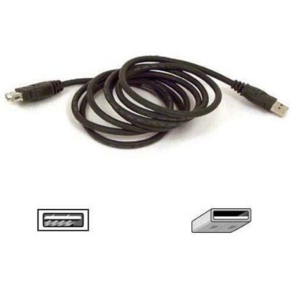 Picture of Belkin USB Extension Cable - Type A Male USB - Type A Female USB - 6ft