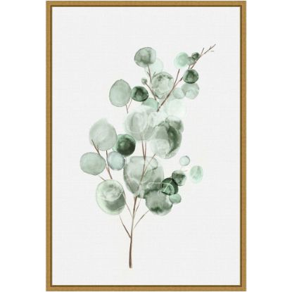 Picture of Amanti Art Tender Sprout II Eucalyptus by Eva Watts Framed Canvas Wall Art Print, 23inH x 16inW, Gold