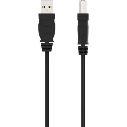 Picture of Belkin Hi-Speed USB 2.0 Cable - Type A Male USB - Type B Male USB - 6ft