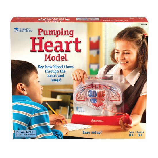 Picture of Learning Resources Pumping Heart Model, 12inH x 11inW x 5inD, Grades 3 - 12