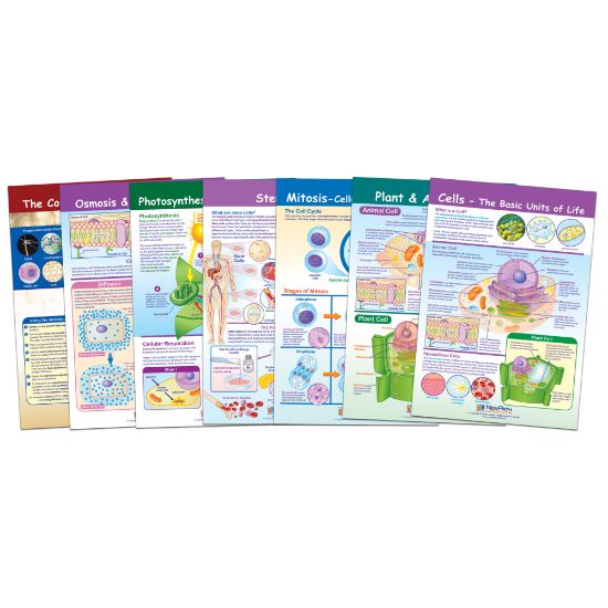 Picture of New Path Learning Cells Bulletin Board Chart Set, Grades 3 - 5, Set Of 7