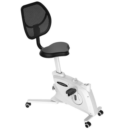 Picture of FlexiSpot FC211 Fitness Chair, Black/White