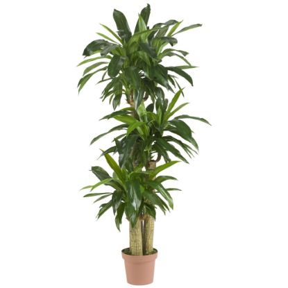 Picture of Nearly Natural 57inH Real-Touch Silk Corn Stalk Dracaena Plant With Pot, Green