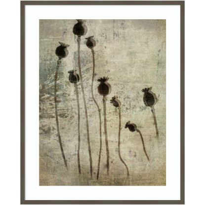 Picture of Amanti Art Poppy Seedlings by Nel Talen Wood Framed Wall Art Print, 33inW x 41inH, Gray