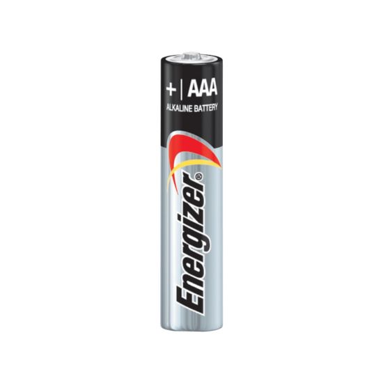 Picture of Energizer Max AAA Alkaline Batteries, Case Of 144