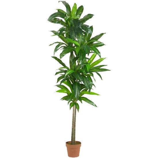 Picture of Nearly Natural 6ftH Real-Touch Silk Dracaena Plant With Pot, Green