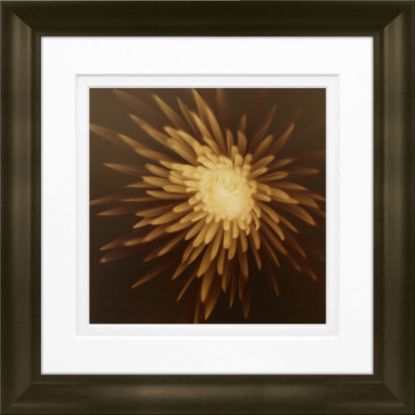 Picture of Timeless Frames Marren Espresso-Framed Floral Artwork, 8in x 8in, New Mum