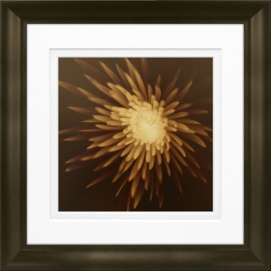 Picture of Timeless Frames Marren Espresso-Framed Floral Artwork, 8in x 8in, New Mum