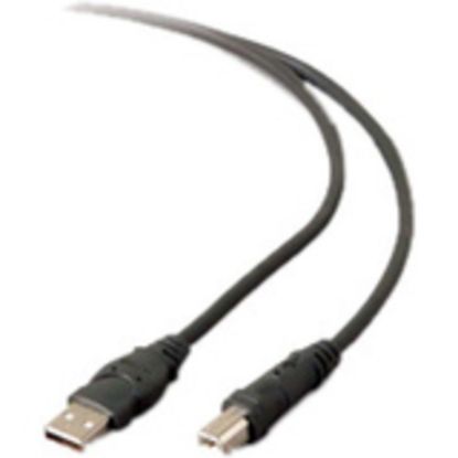 Picture of Belkin USB Extension Cable - 16 ft USB Data Transfer Cable for Printer, Scanner, Hard Drive - First End: 1 x 4-pin USB Type A - Male - Second End: 1 x 4-pin USB Type B - Male - Extension Cable - Shielding - Black - 1