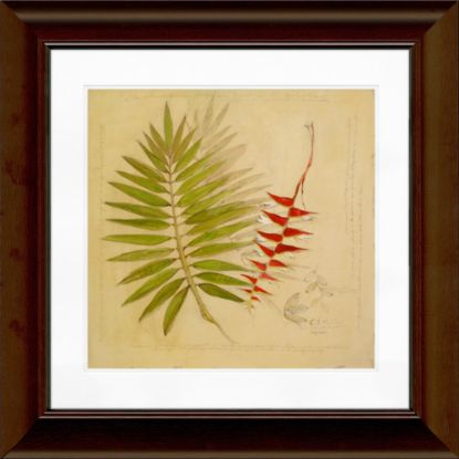 Picture of Timeless Frames Katrina Framed Floral Artwork, 12in x 12in, Brown, Botanical Study II