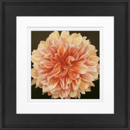 Picture of Timeless Frames Alexis Framed Floral Artwork, 8in x 8in, Black Frame, Orange Dahlia