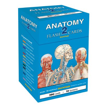 Picture of QuickStudy Flash Cards, 4in x 3-1/2in, Human Anatomy 2, Pack Of 300 Cards