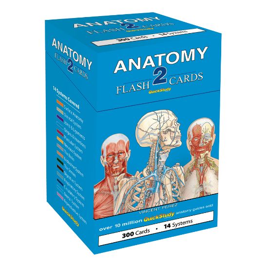 Picture of QuickStudy Flash Cards, 4in x 3-1/2in, Human Anatomy 2, Pack Of 300 Cards