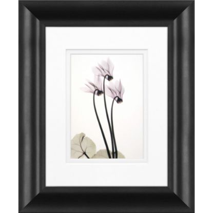 Picture of Timeless Frames Marren Framed Floral Artwork, 8in x 10in, Black, Cyclamen Trio