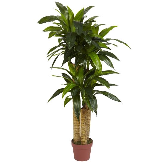 Picture of Nearly Natural 4ft Polyester Artificial Dracaena Silk Plant, Green