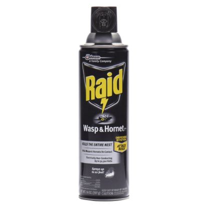 Picture of Raid Wasp/Hornet Killer Spray - Spray - Kills Hornet, Wasp, Mud Dauber, Yellow Jacket, Bugs - 14 fl oz - White - 1 Each