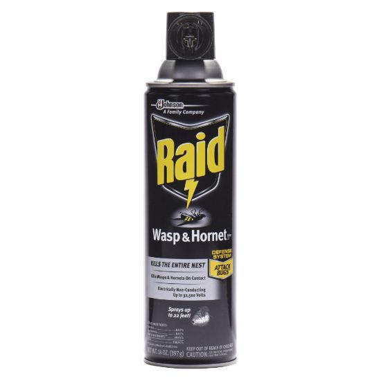 Picture of Raid Wasp/Hornet Killer Spray - Spray - Kills Hornet, Wasp, Mud Dauber, Yellow Jacket, Bugs - 14 fl oz - White - 1 Each