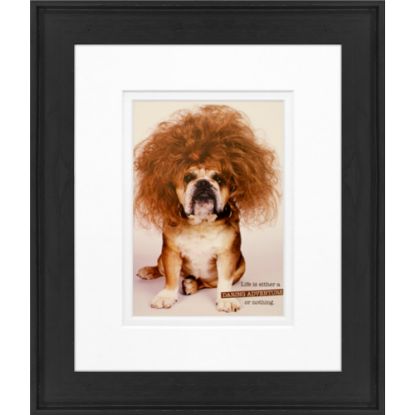 Picture of Timeless Frames Alexis Framed Animal Artwork, 8in x 10in, Black, Daring Adventure