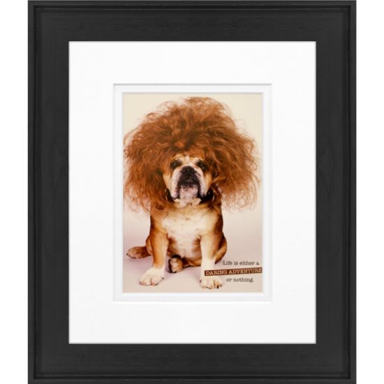 Picture of Timeless Frames Alexis Framed Animal Artwork, 8in x 10in, Black, Daring Adventure