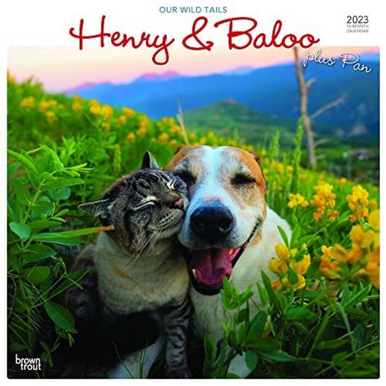 Picture of Brown Trout Humor & Comics Monthly Wall Calendar, 12in x 12in, Henry & Baloo Our Wild Tails, January To December 2023