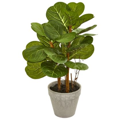 Picture of Nearly Natural Fiddle Leaf 22inH Artificial Plant Arrangement With Planter, 22inH x 11inW X 13inD, Green