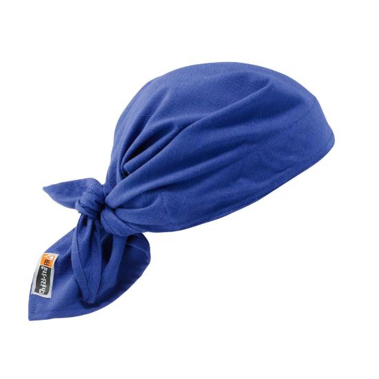 Picture of Ergodyne Chill-Its 6710FR Evaporative FR Cooling Triangle Hats, Blue, Pack Of 6 Hats