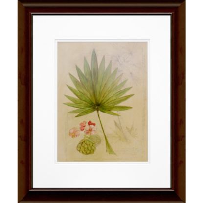 Picture of Timeless Frames Floral Katrina Brown Wall Artwork, 20in x 16in, Botanical Journal II