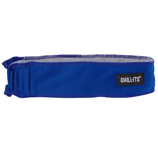 Picture of Ergodyne Chill-Its 6605 High-Performance Headbands, Blue, Pack Of 6 Headbands