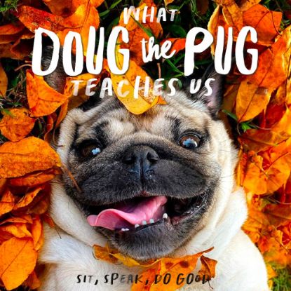 Picture of Willow Creek Press Hardcover Gift Book, 5-1/2in x 5-1/2in, Doug The Pug