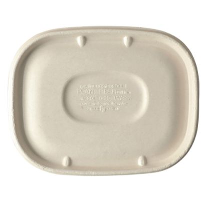 Picture of World Centric Fiber Container Lids, 8-15/16inH x 6-15/16inW x 7/16inD, Natural, Carton Of 400 Lids