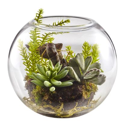 Picture of Nearly Natural Mixed Succulents 6-1/2inH Plastic Garden With Glass Vase, 6-1/2inH x 8inW x 8inD, Green