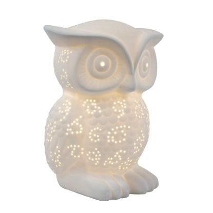 Picture of Simple Designs Porcelain Wise Owl Shaped Animal Light Table Lamp