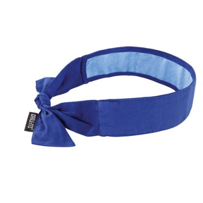 Picture of Ergodyne Chill-Its 6700CT Evaporative Cooling Tie Bandanas With Cooling Towel, Blue, Pack Of 6 Bandanas