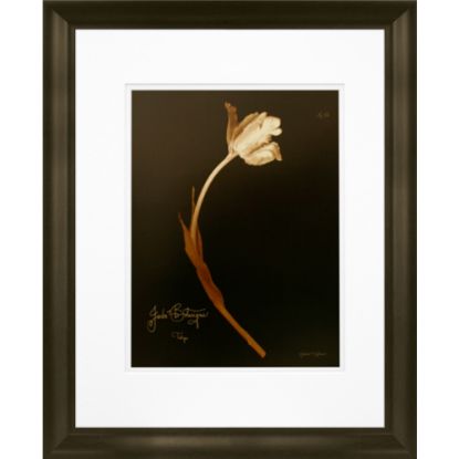 Picture of Timeless Frames Marren Espresso-Framed Floral Artwork, 16in x 20in, Tulip 22