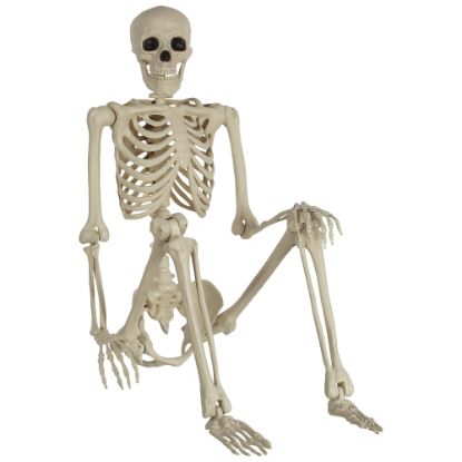 Picture of Amscan Life Size Poseable Skeleton Halloween Prop, 5', White