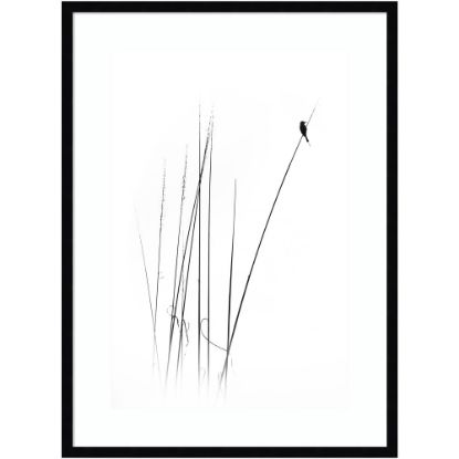 Picture of Amanti Art A Sabbatical Bird by Swapnil Wood Framed Wall Art Print, 34inH x 25inW, Black