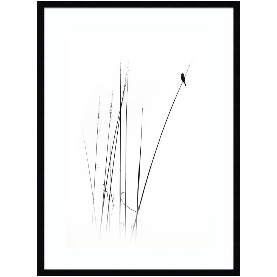 Picture of Amanti Art A Sabbatical Bird by Swapnil Wood Framed Wall Art Print, 34inH x 25inW, Black