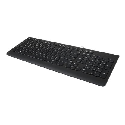 Picture of Lenovo 300 USB Keyboard, Black, GX30M39655