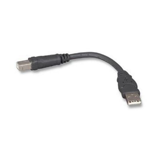 Picture of Belkin Pro Series USB 2.0 A/B Device Cable, 6in, Black