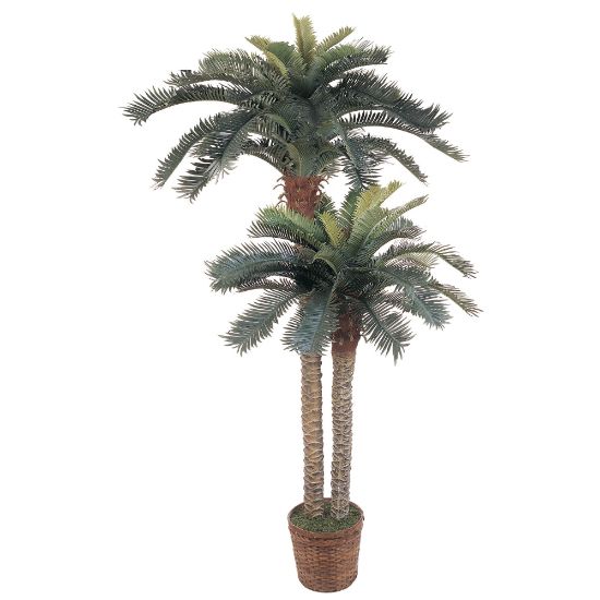 Picture of Nearly Natural 6ftH Silk Double-Potted Sago Palm Trees With Basket, Green