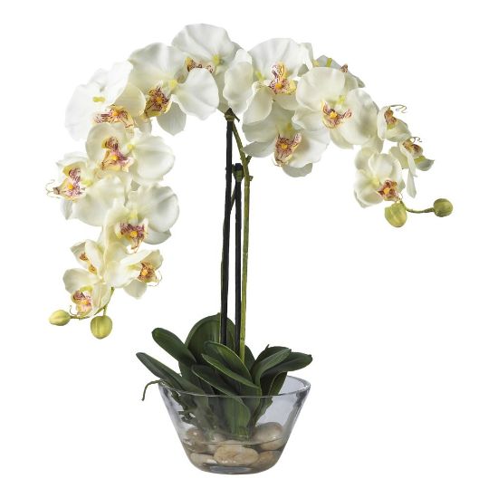 Picture of Nearly Natural 18inH Phalaenopsis Silk Flower Arrangement With Glass Vase, White