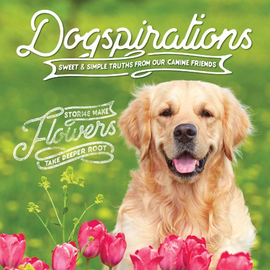 Picture of Willow Creek Press 5-1/2in x 5-1/2in Hardcover Gift Book, Dogspirations