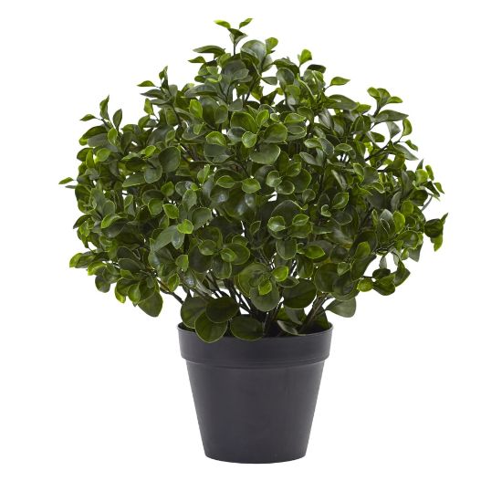 Picture of Nearly Natural 23inH Peperomia Plant With Pot, Green/Black