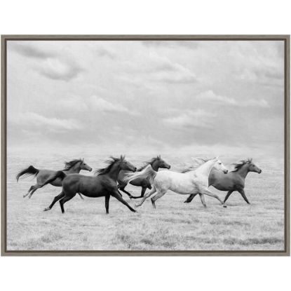 Picture of Amanti Art Horse Run I by PHBurchett Framed Canvas Wall Art Print, 24in x 18in, Graywash