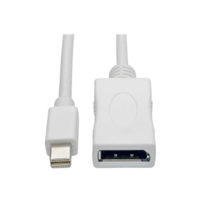 Picture of Tripp Lite Mini DisplayPort To DisplayPort Adapter Cable, 10ft